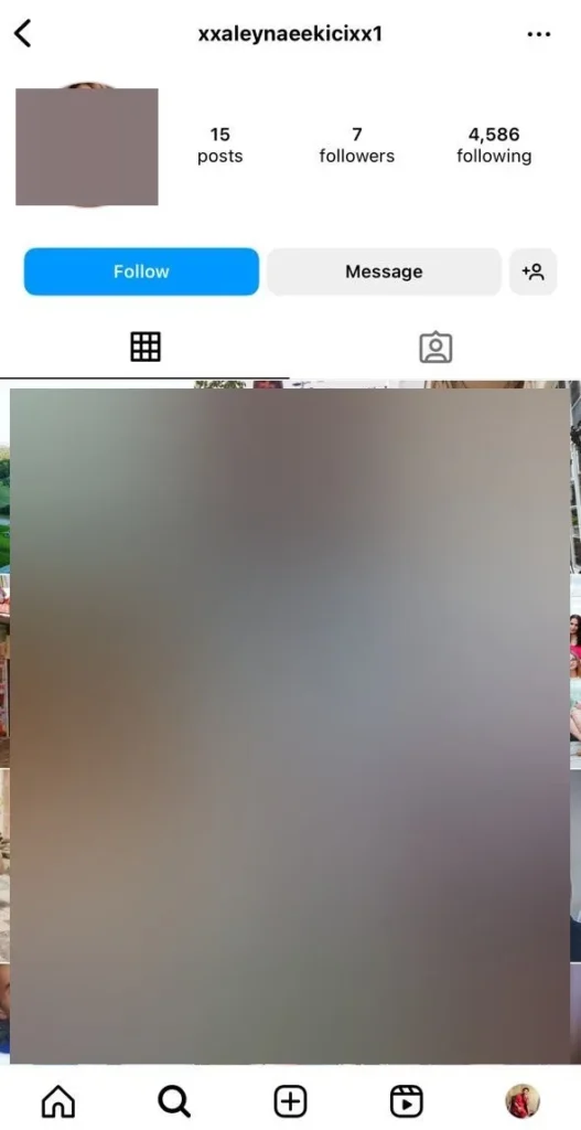 bot account instagram