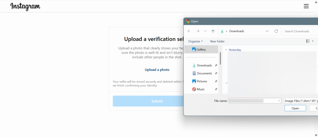 selfie verification upload Instagram