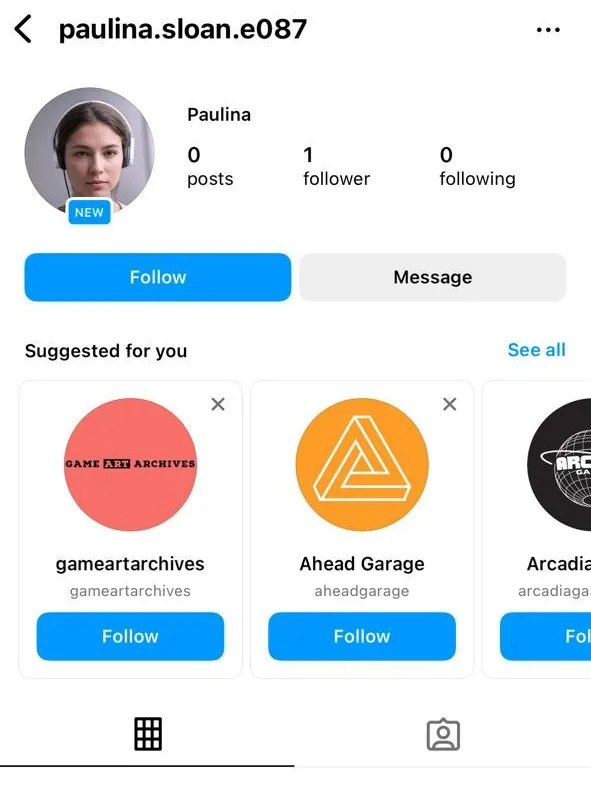 fake account 1