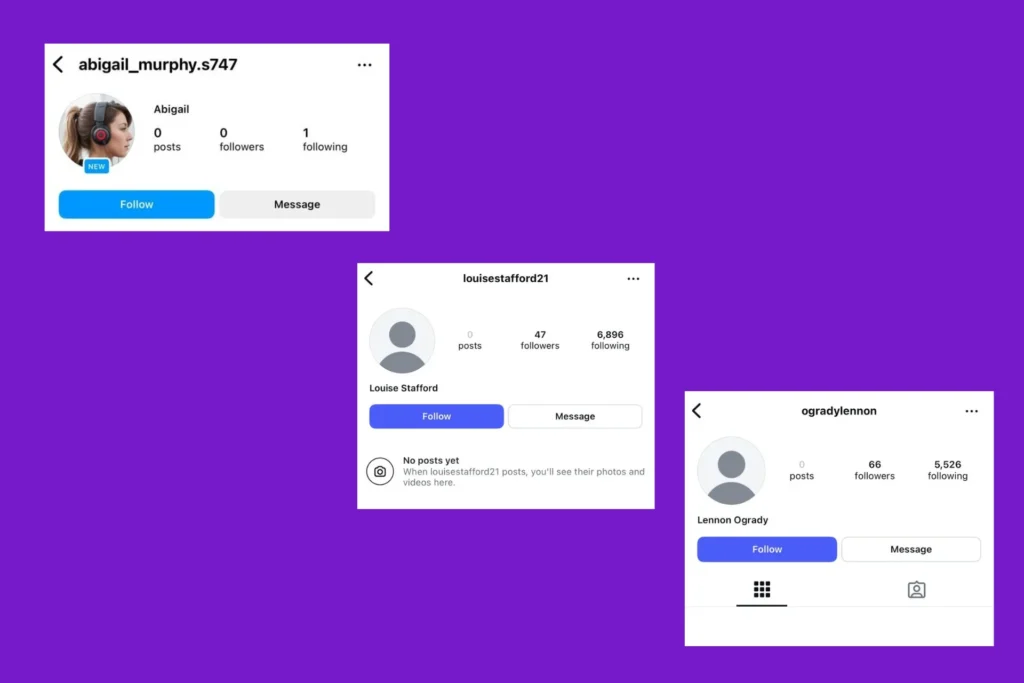 Spot Fake Instagram Accounts